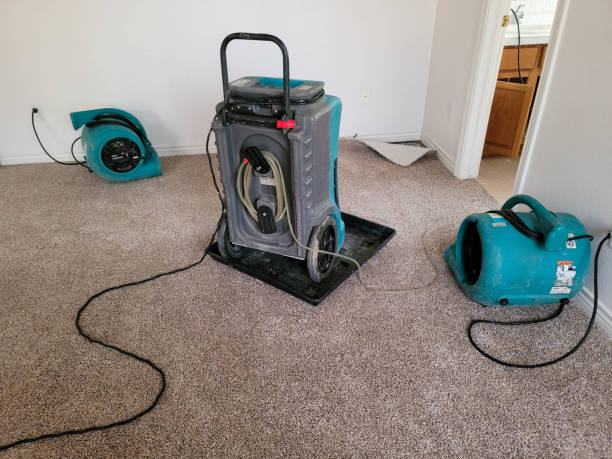 Best Basement water damage restoration  in Mathews, LA
