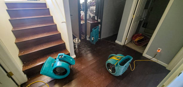 Best Commercial water damage restoration  in Mathews, LA