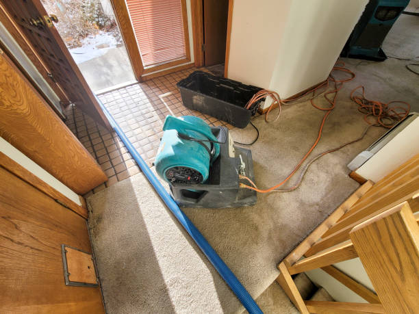 Best Flood restoration services  in Mathews, LA