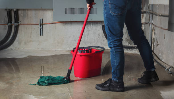 Best Sewage cleanup and water damage restoration  in Mathews, LA