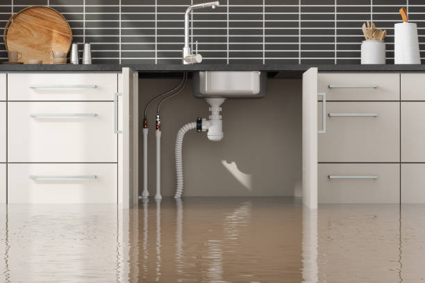Best Water damage restoration process  in Mathews, LA