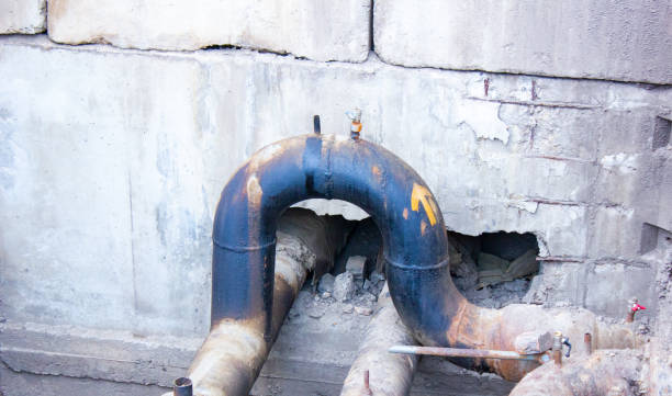 Best Water damage cleanup near me  in Mathews, LA