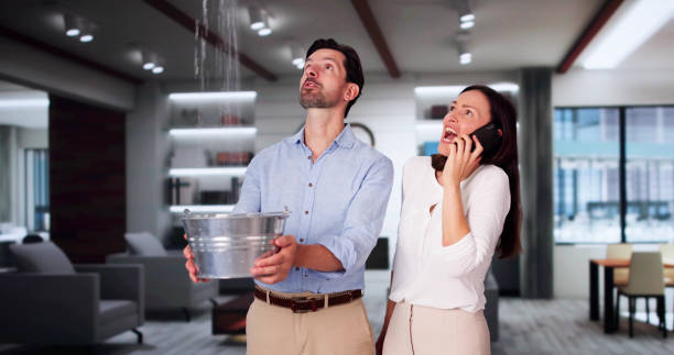 Best Flooded house restoration  in Mathews, LA