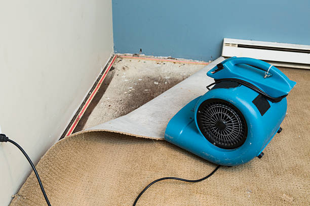 Best Water damage restoration near me  in Mathews, LA